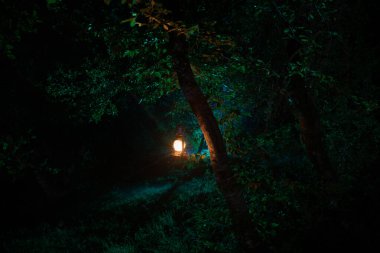 Korku Cadılar Bayramı konsepti. Geceleri ormanda eski yağ lambası yakmak. Kabus sahnesinin gece manzarası.