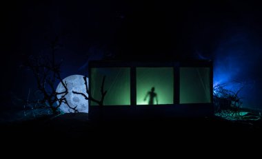 Geceleri ormanda hayaletli eski bir ev. Pencerede korku silueti. Ormandaki eski bina. Gerçeküstü ışıklar. Korku Halloween kavramı