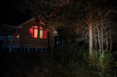 Geceleri ormanda bir hayaletin olduğu eski bir ev ya da sis içinde terk edilmiş bir korku evi. Ölü ağaç ormanındaki eski mistik bina. Geceleri aylı ağaçlar. Gerçeküstü ışıklar. Korku Cadılar Bayramı konsepti