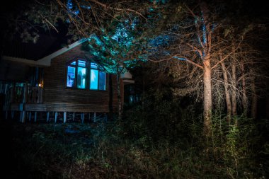 Geceleri ormanda bir hayaletin olduğu eski bir ev ya da sis içinde terk edilmiş bir korku evi. Ölü ağaç ormanındaki eski mistik bina. Geceleri aylı ağaçlar. Gerçeküstü ışıklar. Korku Cadılar Bayramı konsepti