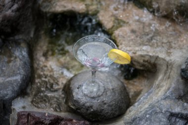 Okyanus ve palmiye ağacı arka plan ile yüzme havuzunda martini kokteyl cam. Bir bardak mavi martini kokteylhoş geldin içki barı. Seçici odak. sezon ve tatil konsepti.