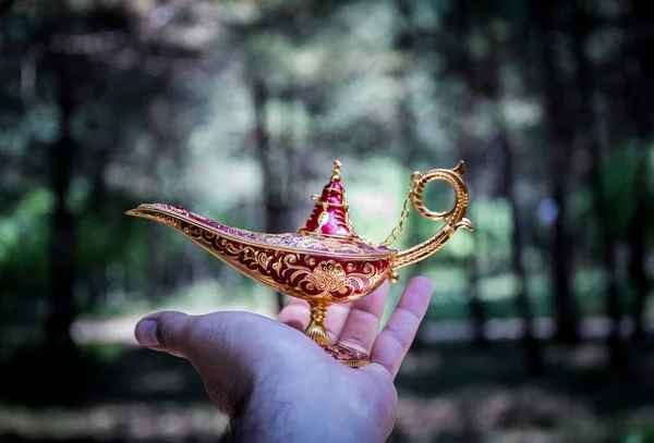 Antique artisanal Aladdin Arabian nights genie style oil lamp at the forest. Lamp of wishes fantasy concept