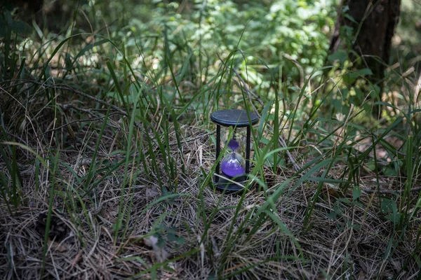 Sable traversant les ampoules d'un sablier mesurant le temps qui passe dans un compte à rebours jusqu'à une date limite, sur un fond coloré avec espace de copie. Vieux verre de sable abstrait en forêt . — Photo