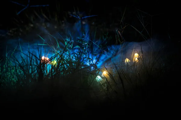 Fantasy glowing mushrooms in mystery dark forest close-up. Beautiful macro shot of magic mushroom or three souls lost in avatar forest. Fairy lights on background with fog — Stock Photo, Image