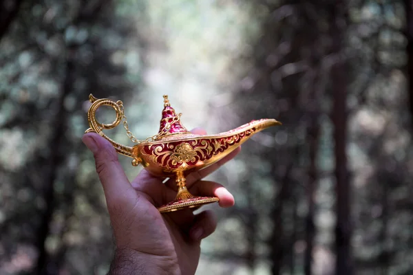 Antiguo artesanal Aladino noches árabes lámpara de aceite de estilo genio en el bosque. Lámpara de deseos concepto de fantasía — Foto de Stock