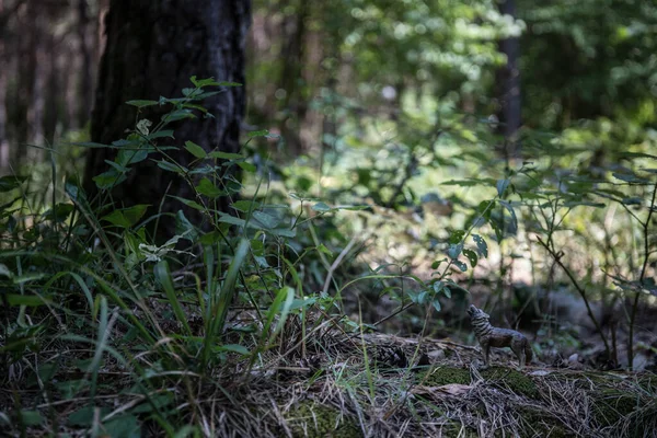 Brown bear walking in forest. Mini bear figure (or toy bear) at the park. — Stock Photo, Image