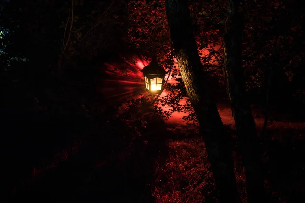 Horror Halloween concept. Burning old oil lamp in forest at night. Night scenery of a nightmare scene. — Stock Photo, Image