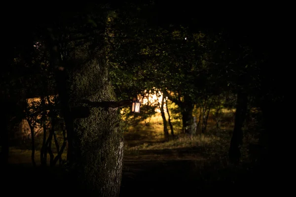 Představa hrůzy Halloweenu. Hořící starou olejovou lampu v noci v lese. Noční scenérie noční můry. — Stock fotografie