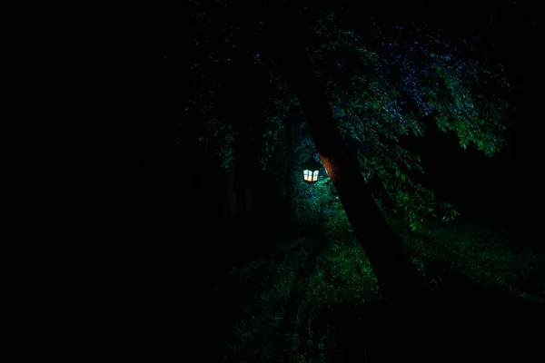 Horreur concept Halloween. Brûler une vieille lampe à huile dans la forêt la nuit. Paysage nocturne d'une scène de cauchemar . — Photo