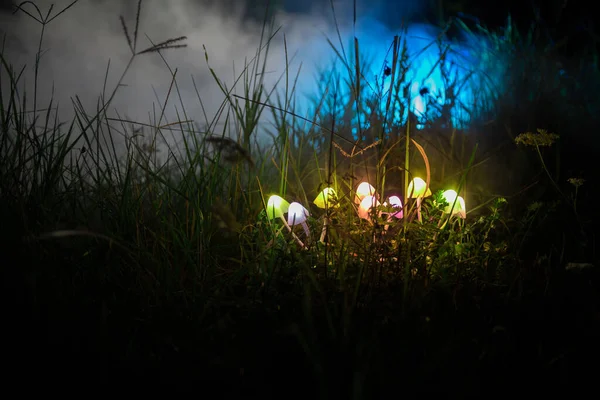 Fantasy glowing mushrooms in mystery dark forest close-up. Beautiful macro shot of magic mushroom or three souls lost in avatar forest. Fairy lights on background with fog