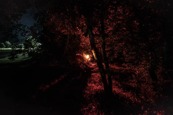 Horror-Halloween-Konzept. brennende alte Öllampe im Wald in der Nacht. Nächtliche Szenerie eines Albtraums. — Stockfoto