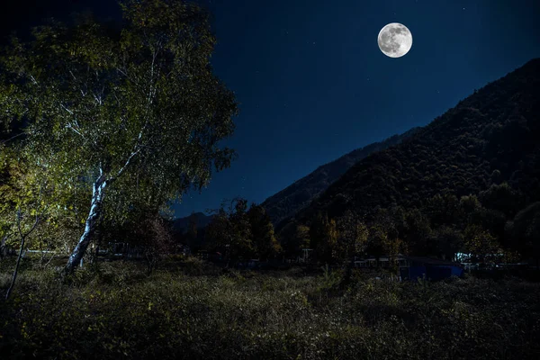 Vägen genom skogen en fullmåne natt. Scenisk natt landskap mörkblå himmel med månen. — Stockfoto