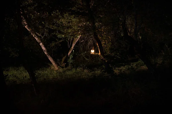 Concepto de Halloween de horror. Quema vieja lámpara de aceite en el bosque por la noche. Paisaje nocturno de una escena de pesadilla . — Foto de Stock