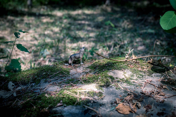 Howling wolf in the forest. Mini wolf figure standing on the forest ground.