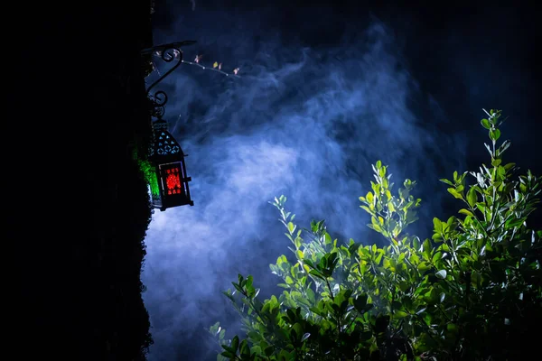 Schöne Bunte Lampe Garten Nebliger Nacht Retro Laterne Der Nacht — Stockfoto