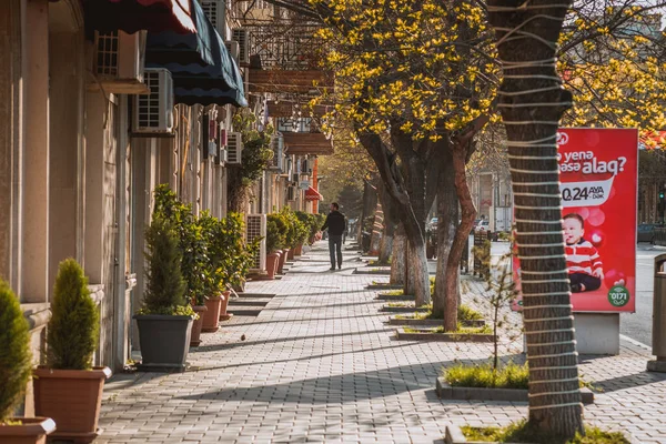 Baku Azerbaijan April14 2020 Baku Centrum Azerbajdzjan Tomma Gator Baku — Stockfoto