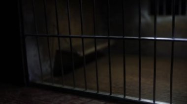 Mistik ışık altındaki minyatür hapishane kafesinin yakın çekim görüntüleri.