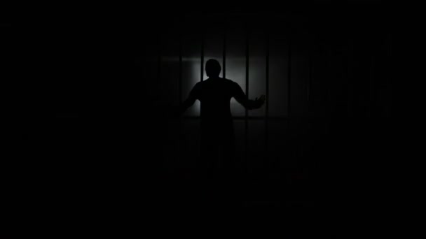 Närbild Bilder Miniatyr Leksak Fängelse Bur Mystiskt Ljus — Stockvideo