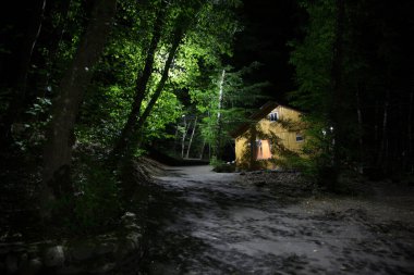 Geceleri ormanda bir hayaletin olduğu eski bir ev ya da sis içinde terk edilmiş bir korku evi. Ölü ağaç ormanındaki eski mistik bina. Karanlık bir ormanın ortasında ürkütücü bir ev. Gerçeküstü ışıklar