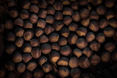 Köhne ahşap masada fındıklı bir hayat. Yaratıcı masa dekorasyonunun üstünden bak. - Yakın çekim. Seçici odak