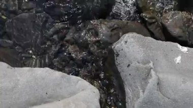 Dağ nehri sularının altındaki çakıl taşlarının yakın çekim görüntüleri.