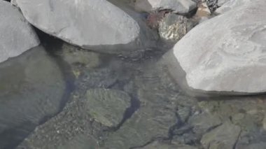 Dağ nehri sularının altındaki çakıl taşlarının yakın çekim görüntüleri.