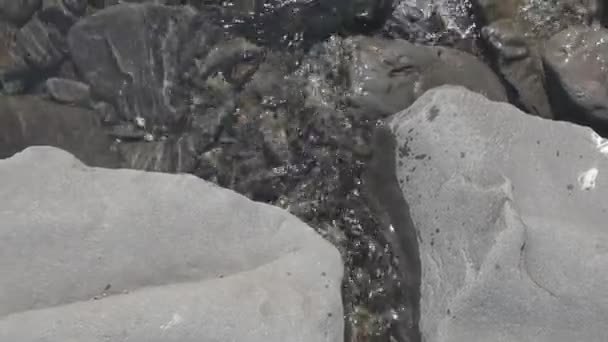 Imagens Close Pedras Seixos Sob Água Rio Montanha — Vídeo de Stock