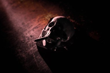 Sigara içilmiyor. Sigaralı yaratıcı tablo dekorasyonu. Sigara kansere neden olur ve öldürür. Hayat boyu kafatası ve sigara. Seçici odak