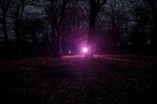Lumiere Etrange Dans Une Foret Sombre La Nuit Silhouette De Personne Debout Dans La Foret Sombre Lumiere Etrange Dans Une Foret Sombre La Nuit Silhouette De Personne Debout Dans La Foret Sombre