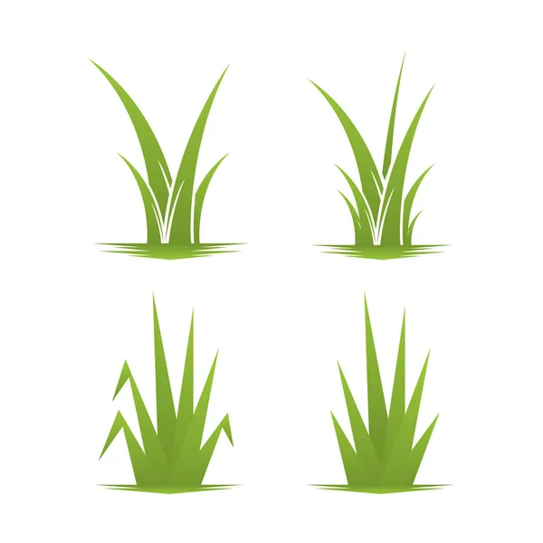 Gräs blad vektor illustration. natur blad design. grön trädgård fält — Stock vektor