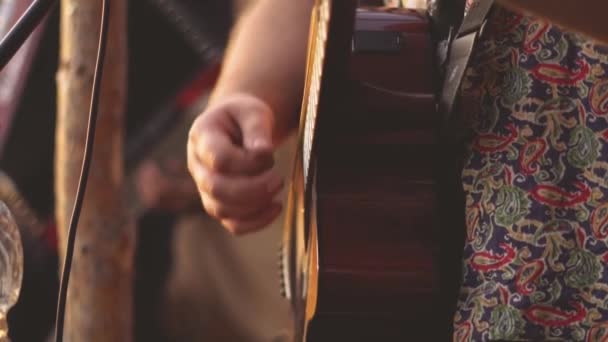 Der Musiker Spielt Gitarre Auf Der Natur — Stockvideo
