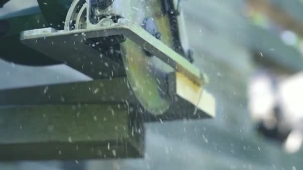 Man Sawing Sawdust Wood — Stock Video