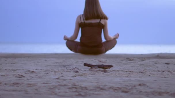 Mädchen Meditiert Meer — Stockvideo