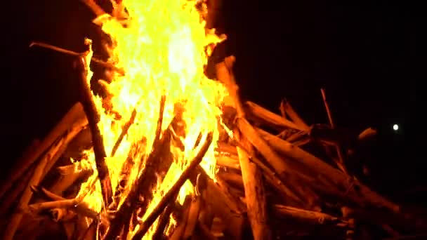 Stor Och Hög Brand Natten — Stockvideo