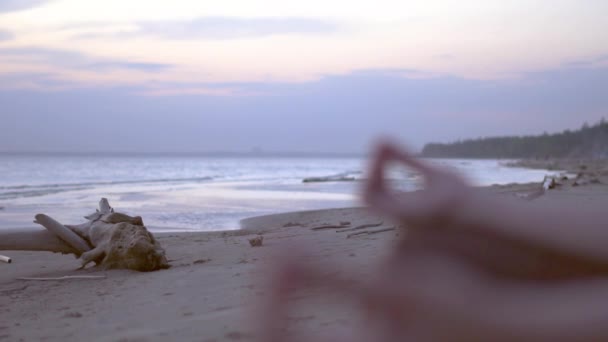 Menina Meditando Junto Mar — Vídeo de Stock