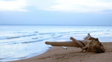 dalgalar denize yakın