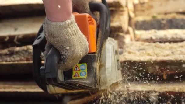 Skogshuggaren Sågar Träd Med Motorsåg Sågverk — Stockvideo