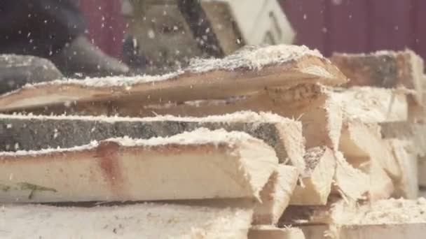 Oduncu Testere Ağaç Kereste Fabrikası Chainsaw Ile — Stok video