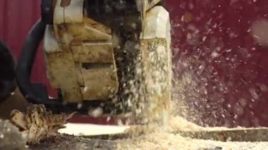 Oduncu testere Ağaç Kereste fabrikası chainsaw ile