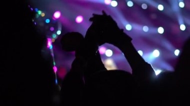 insanlar bir rock konserinde