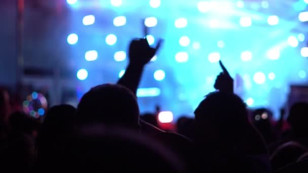 Menschen bei einem Rockkonzert — Stockvideo