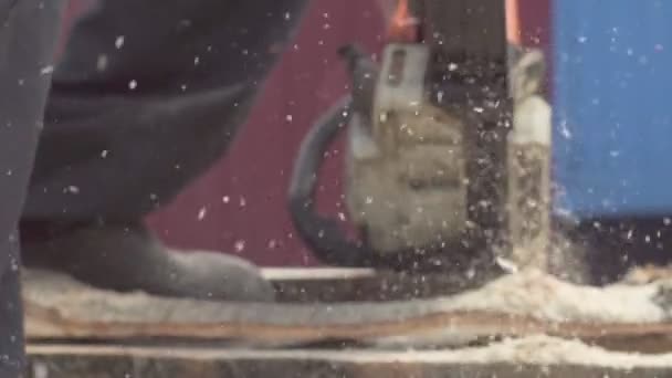 Woodcutter Saws Tree Chainsaw Sawmill — Stock Video