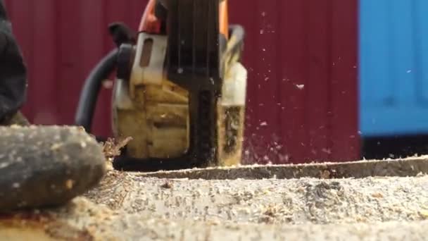 Árbol Sierras Madera Con Motosierra Aserradero — Vídeo de stock