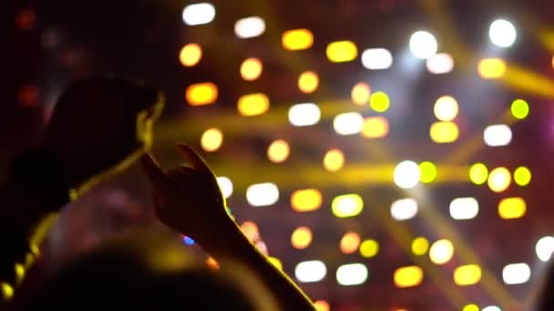 Pessoas Num Concerto Rock — Vídeo de Stock