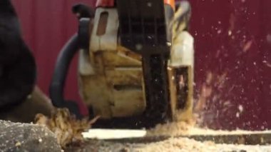 Oduncu testere Ağaç Kereste fabrikası chainsaw ile