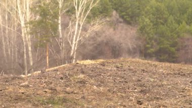 Novokuzneck, Rusya - 21.04.2018: motocross yarışmalar