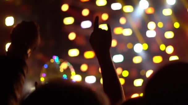 Menschen Bei Einem Rockkonzert — Stockvideo