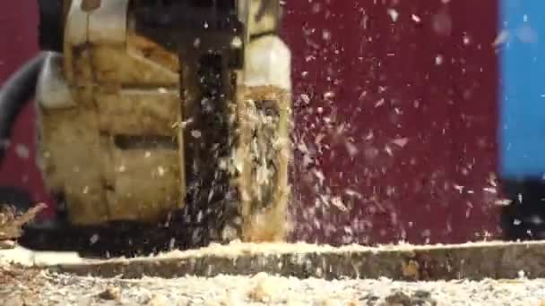 Řetězová pila řeže dřevo — Stock video