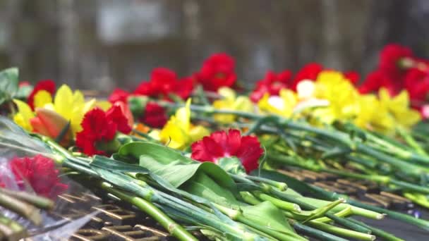 Flores Monumento — Vídeos de Stock