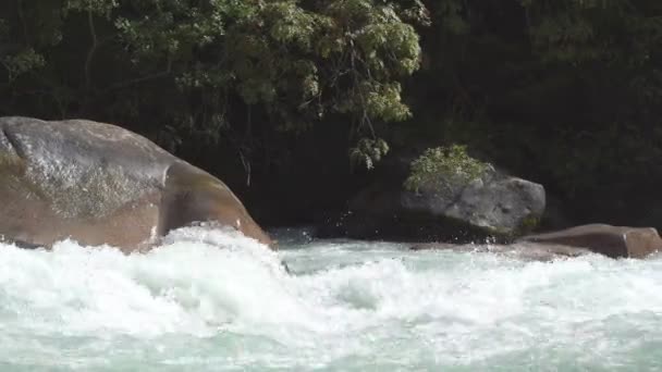 Rio Montanha Tempestuoso Corre Através Desfiladeiro — Vídeo de Stock